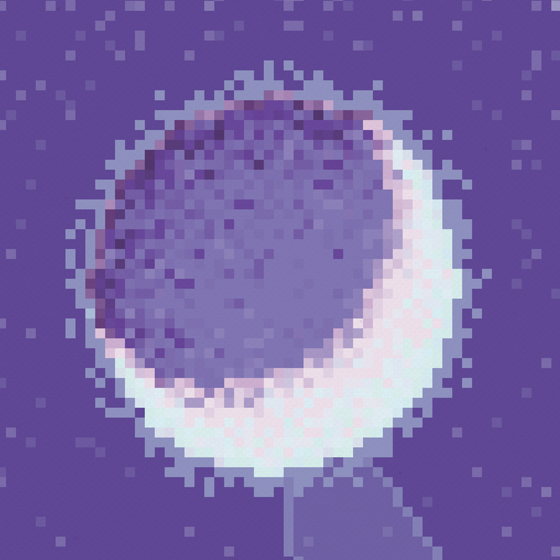 adelaide’s moon